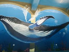 -秦皇岛乐岛海洋王国