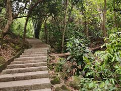 -火炉山森林公园