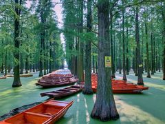 -渌洋湖湿地公园