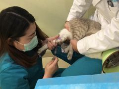 -美迦爱-牙专科·兔科·骨科诊疗中心(北苑店)