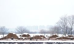 -盘龙城国家考古遗址公园