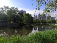 -望湖公园
