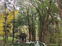 -古隆中景区