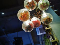 -胡桃里音乐餐厅(陶溪川店)(川湘赣菜·世界百大酒庄直供红酒·音乐表演)