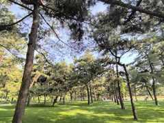 -承德避暑山庄景区