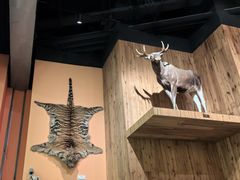 -Behring World of Animals(上海自然博物馆店)