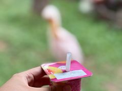 -熊猫自助餐厅.萌趣城堡(长隆熊猫酒店)