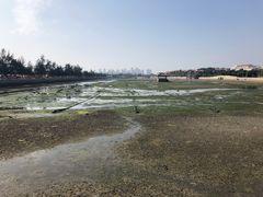 -龙舟池