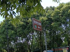 -都江堰中华大熊猫苑