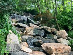 -大连植物园