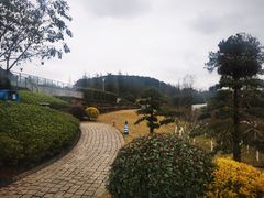 -铁山坪森林公园