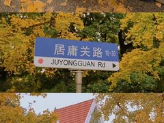 -八大关景区