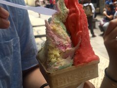-柠檬车露(卖草地店)