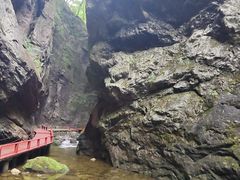 -牛背梁国家森林公园