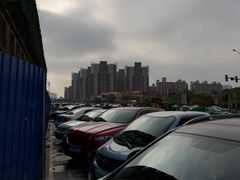 -Tiffany & Co.蒂芙尼
(天津万象城店)