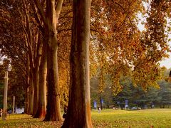 -河南省黄河迎宾馆