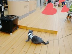 -喜茶(珠海华发商都店)