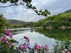 -白马涧龙池景区