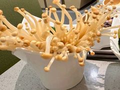 -海底捞火锅(奥森店)