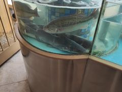 -鑫巴蜀(和平里店)