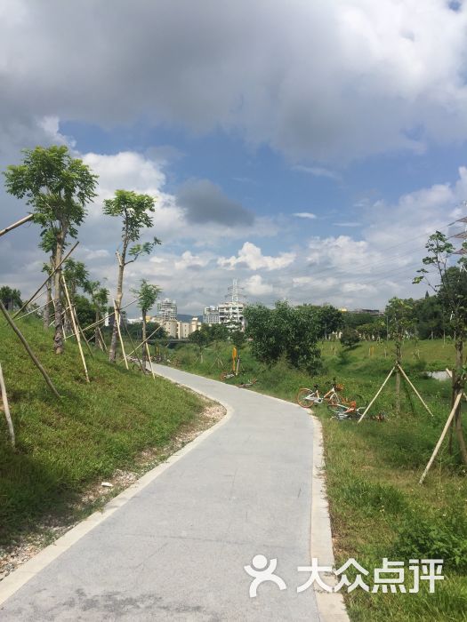 大沙河公園-圖片-深圳周邊遊-大眾點評網