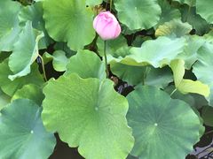 -四川大学(华西校区)