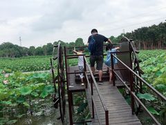 -武汉紫薇都市田园