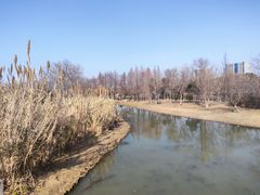 -长广溪湿地公园
