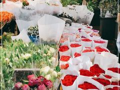 -溪岸路花鸟市场