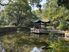 -九龙公园