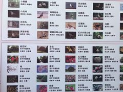 -金鸡湖桃花岛