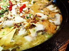 -三天打鱼(奥体店)