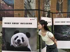 -西安电影制片厂