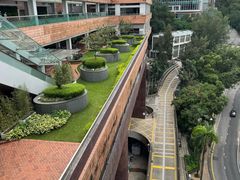 -香港大学