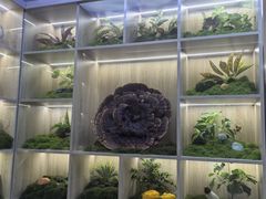 -老西门·常州菜(新区店)