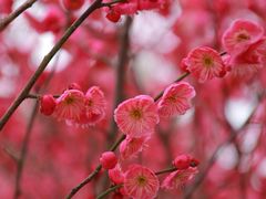 -东林广场(地铁站)