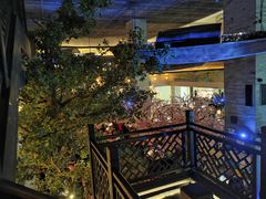 -桂满隴·站立的杭州(无锡八佰伴店)