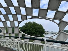 -同里国家湿地公园