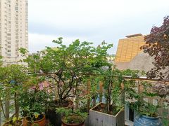 -屋顶花园餐厅(步行街老地王大厦店)