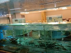 -金龙渔港(双楠店)