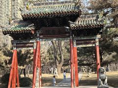 -迎泽公园