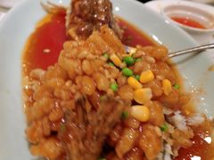 松鼠桂鱼-新南华大酒店(长寿店)