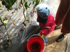 -杨柳青园艺科技博览园