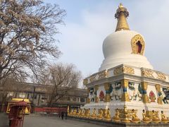 -护国法轮寺
