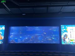 -重庆欢乐海底世界