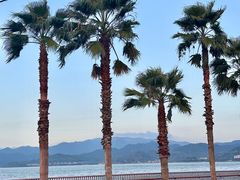 -东钱湖旅游度假区