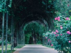 -人民公园(罗湖区)