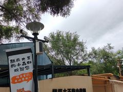 -大望京公园