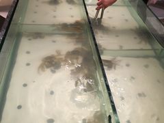 -星伦多自助料理(华润万象城店)