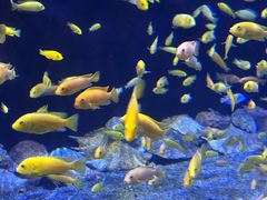 -成都浩海立方海洋公园